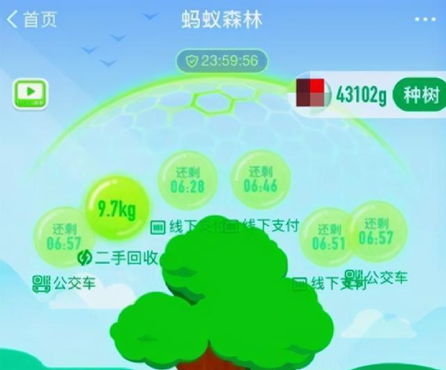 蚂蚁森林最新动态，绿色能量背后的争议与观点探讨