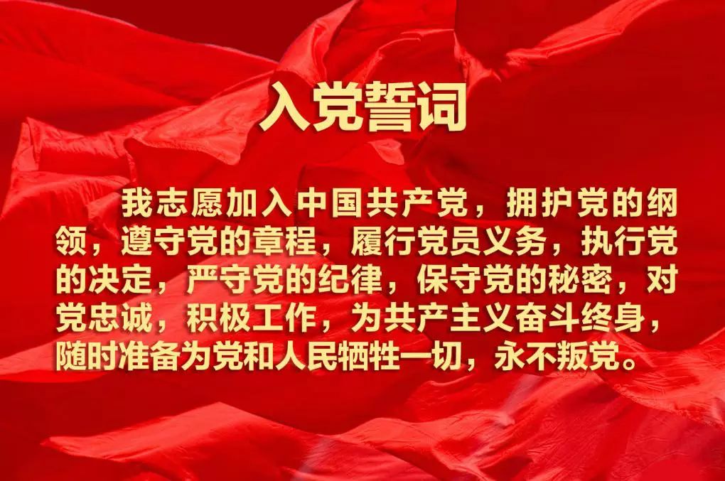 时代誓言与永恒责任，最新入党誓词全解析